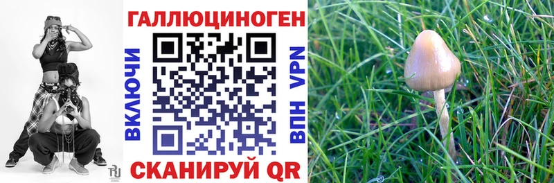 маркетплейс телеграм  Дальнегорск  Псилоцибиновые грибы мухоморы  omg зеркало 